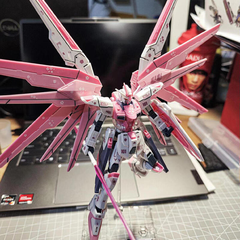 HG Gundam Assembled Model Kit  - Bandai Model Gundam Hg 评论和价格