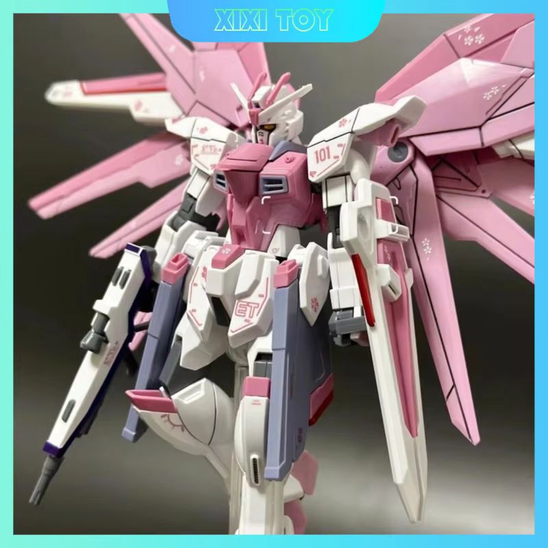 JMS HG 1/144 ZY-06 Freedom Ass - Bandai Model Gundam Hg 评论和价格