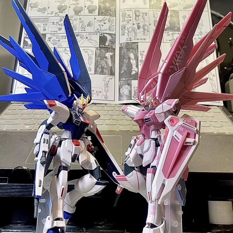 JMS HG 1/144 ZY-06 Freedom Ass - Bandai Model Gundam Hg 评论和价格