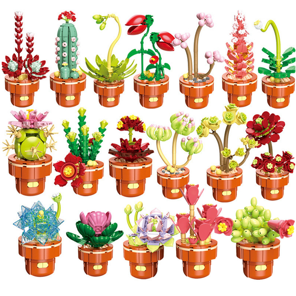 2024 City Creativity Succulent - Lego Set Creator 评论和价格