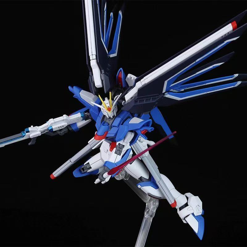 HG STTS-909 Rising Freedom Gun - Bandai Model Gundam Hg 评论和价格
